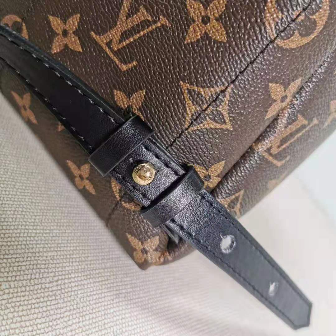 Louis Vuitton LV Women Palm Springs PM Backpack in Monogram Reverse Coated Canvas-Brown
