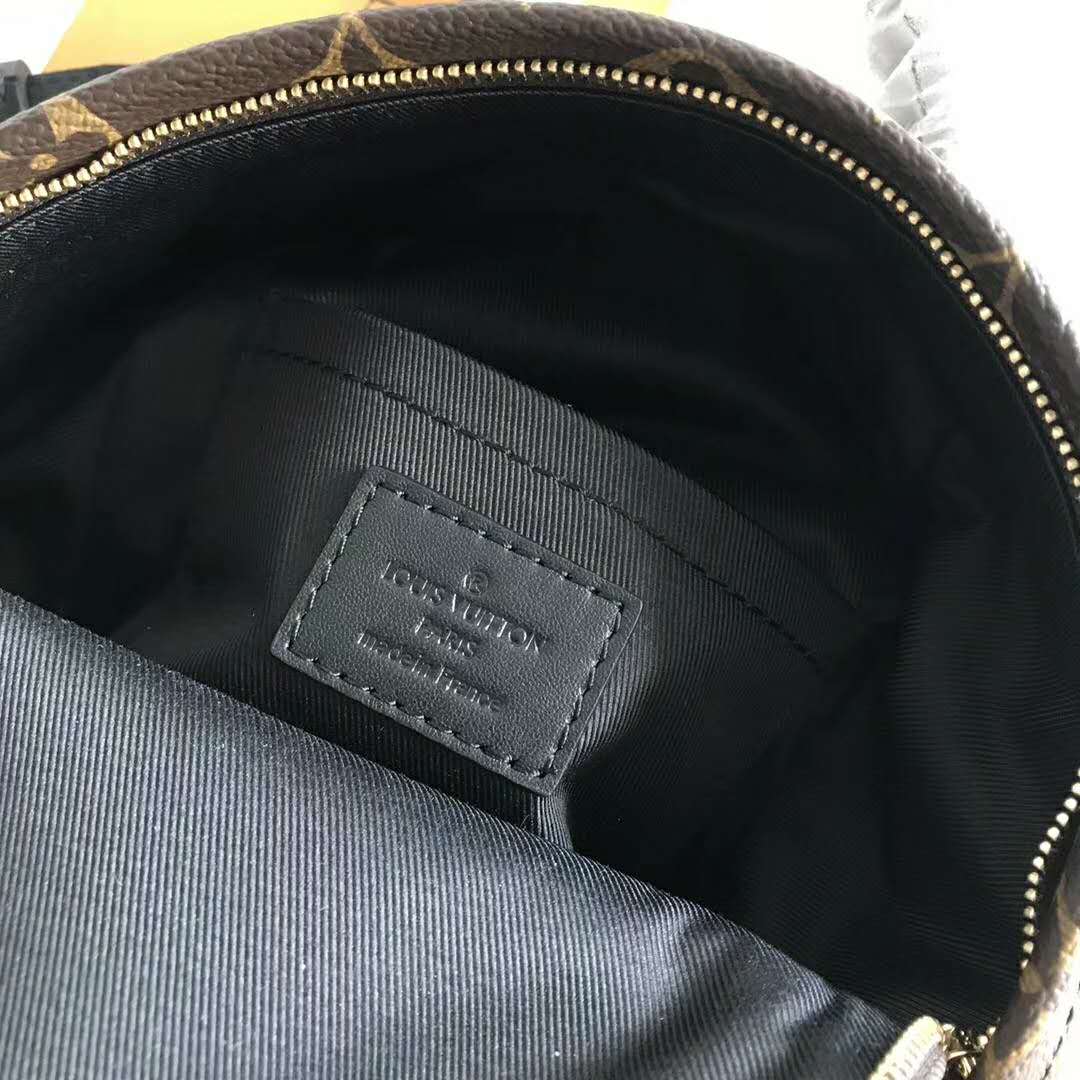 Louis Vuitton LV Unisex Palm Springs Backpack Mini in Monogram Coated Canvas-Brown