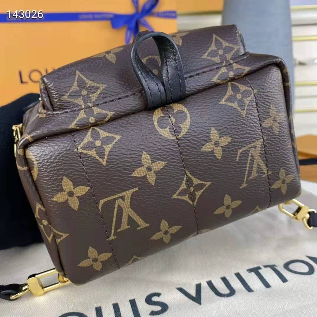 Louis Vuitton LV Unisex Palm Springs Mini Monogram Coated Canvas Textile Lining