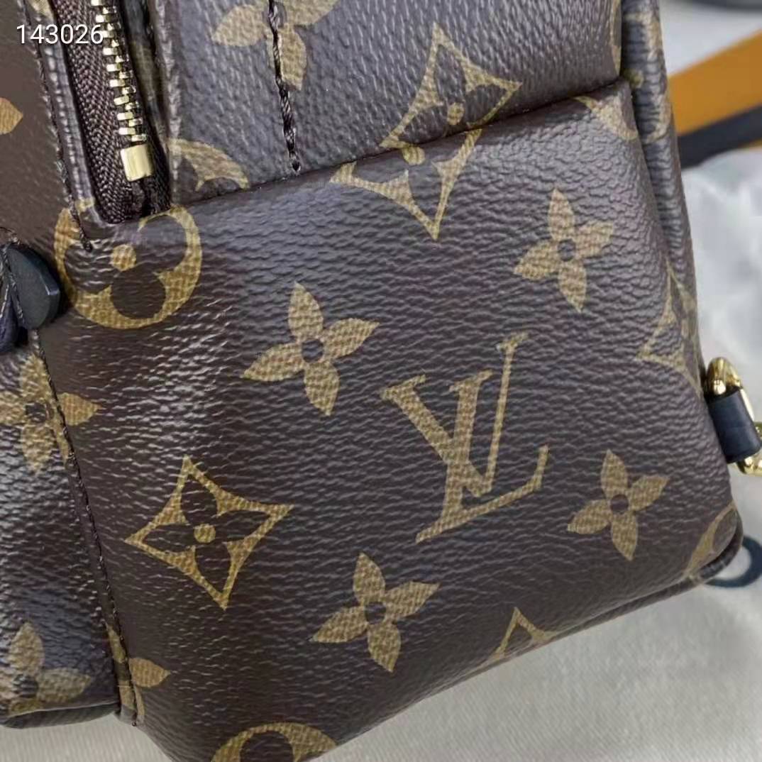 Louis Vuitton LV Unisex Palm Springs Mini Monogram Coated Canvas Textile Lining