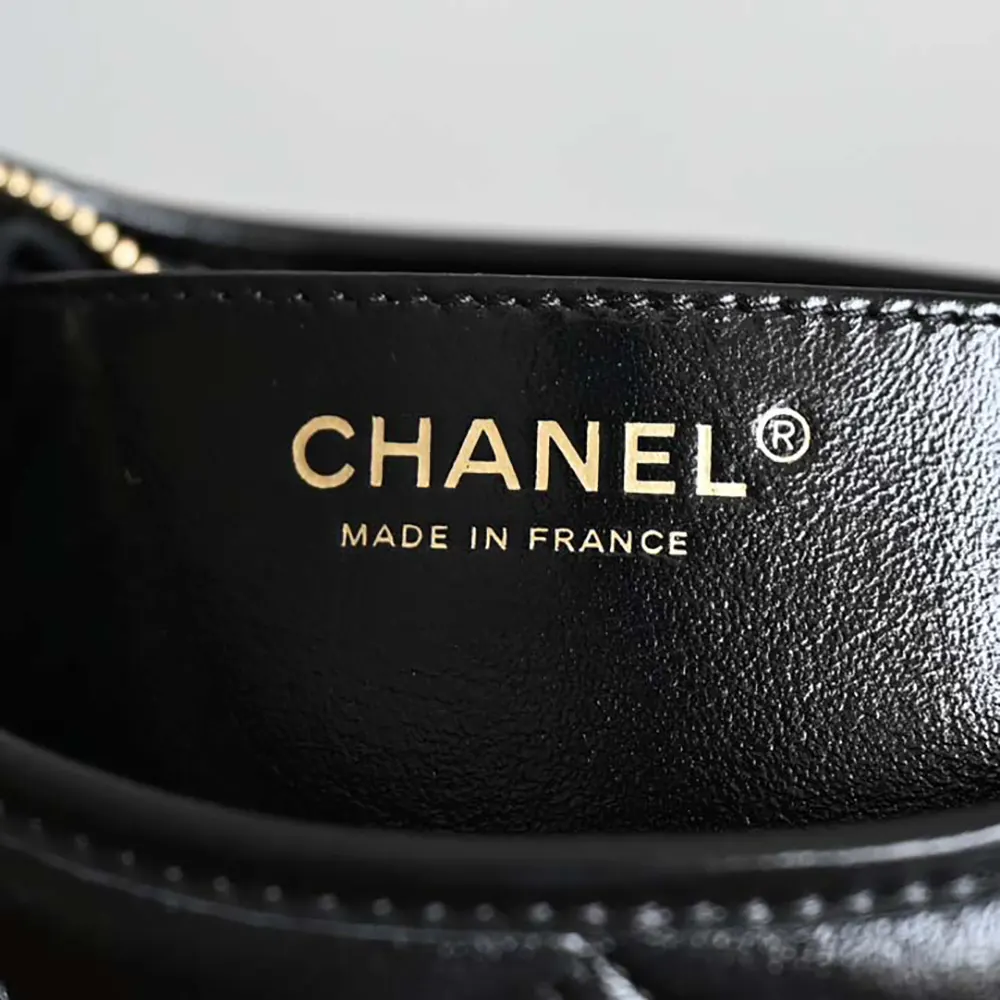 Chanel Women Small Hobo Bag Shiny Lambskin Gold Tone Metal AS4922B1689794305