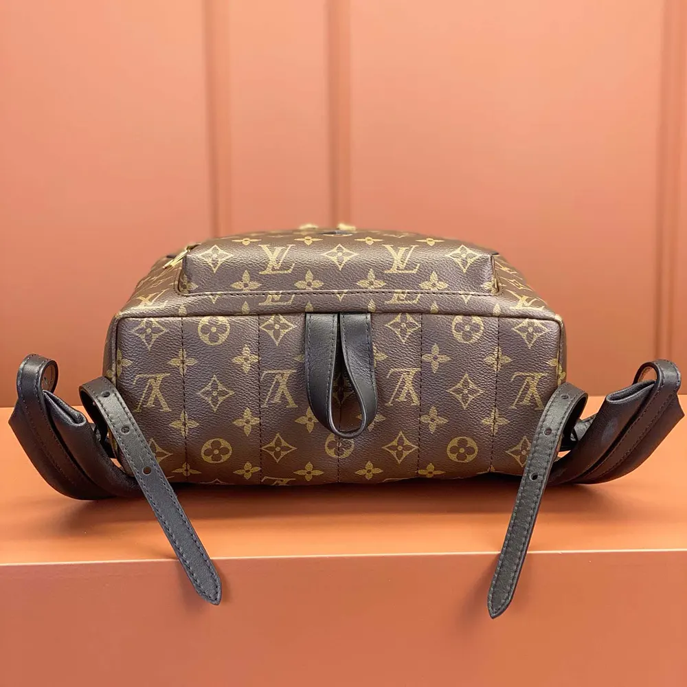 Louis Vuitton LV Women Palm Springs MM M44874