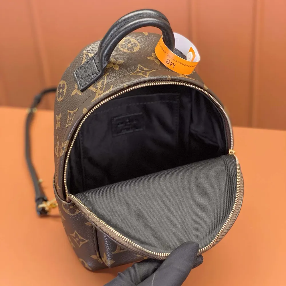 Louis Vuitton LV Women Palm Springs Mini M44873